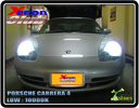 XENON BEETLE