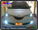 XENON BEETLE