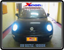 XENON BEETLE